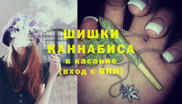 молекула духа Нязепетровск