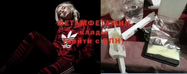 трава Няндома