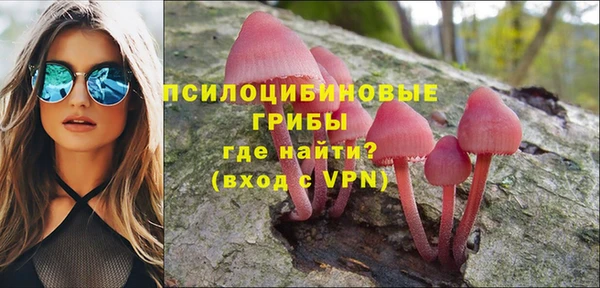 альфа пвп Осинники
