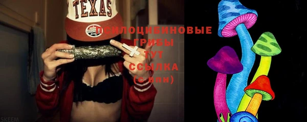 трава Няндома