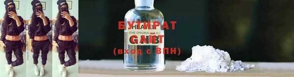 трава Няндома