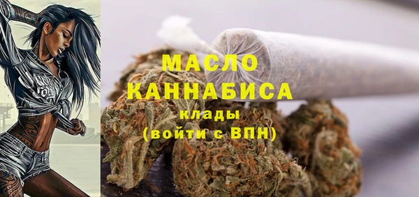 трава Няндома
