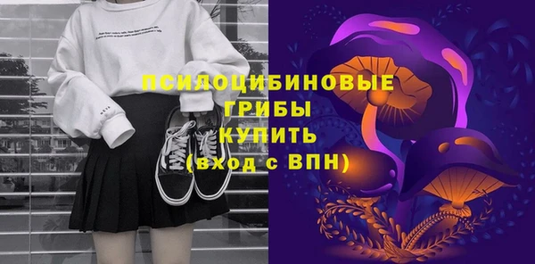трава Няндома