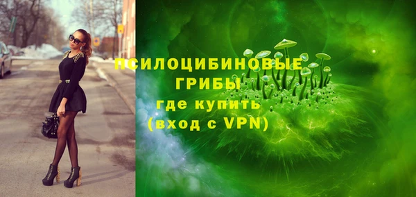 трава Няндома