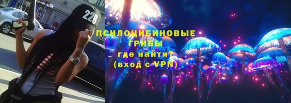 молекула духа Нязепетровск