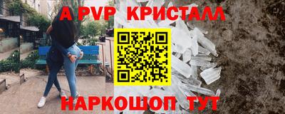 прущие грибы Нальчик