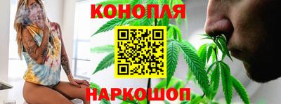 прущие грибы Нальчик
