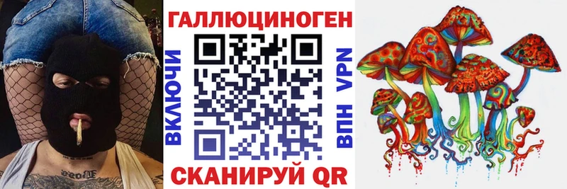 ОМГ ОМГ ССЫЛКА  Тверь  Псилоцибиновые грибы Psilocybine cubensis 