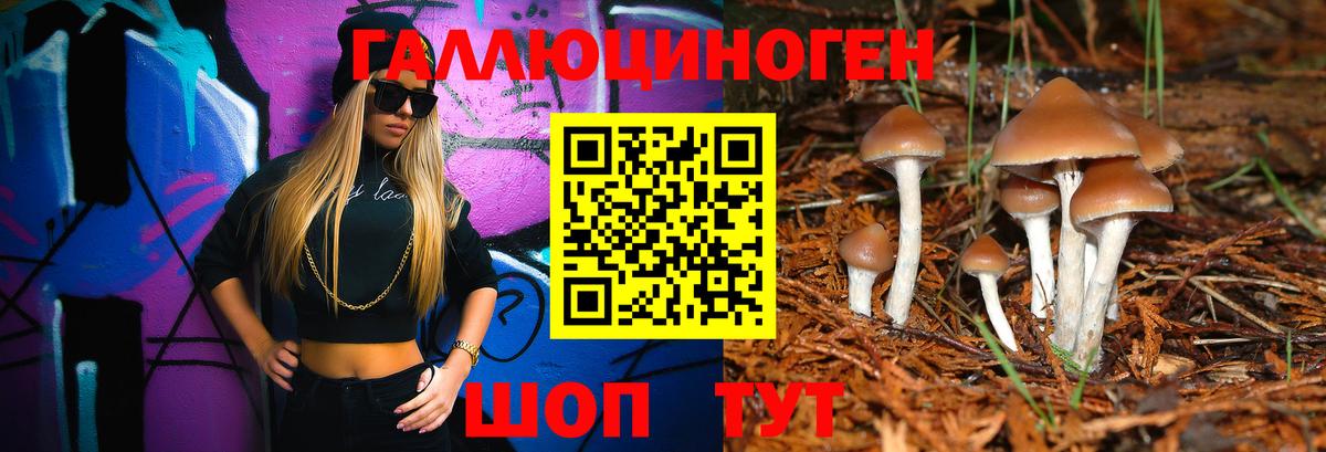 Псилоцибиновые грибы Psilocybine cubensis Тверь
