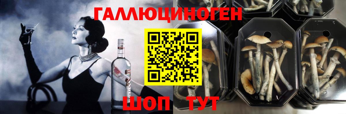 Тверь  Псилоцибиновые грибы Magic Shrooms  Вход с VPN 