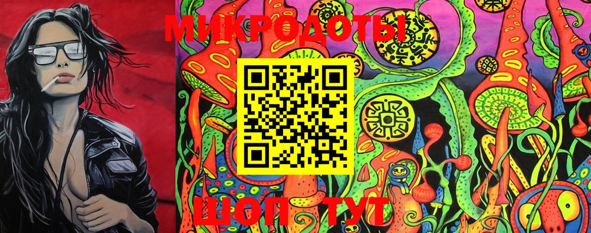 Галлюциногенные грибы Psilocybine cubensis Тверь